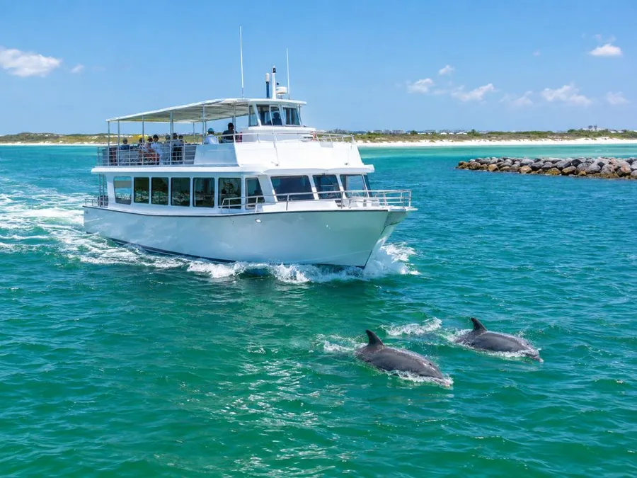 Destin: Dolphin Cruise on Glass-Bottom Boat